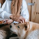 8 Foods to Avoid Feeding Your Pet Pooch