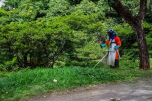 pexels-gaion-20534857