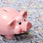 The Dynamic Duo: Why Your Money Needs Savings and Checking Accounts