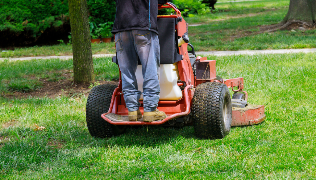 The Physics of the Cut Why Standing Up Actually Changes Your Lawn