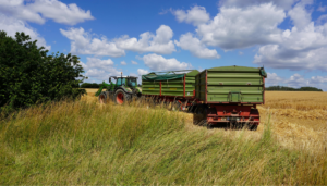 The Real ROI of Upgrading Your Grain Trailer