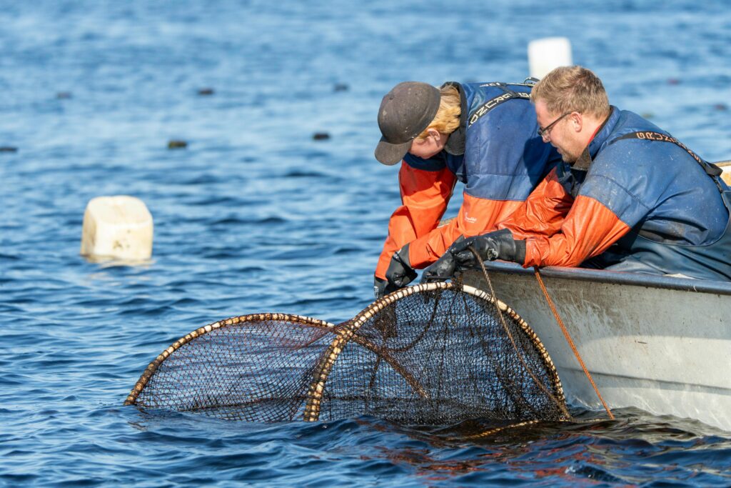 Rolling Your Profits Back into the Boat Smart Gear Investments for Commercial Fishermen