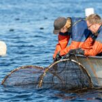 Rolling Your Profits Back into the Boat: Smart Gear Investments for Commercial Fishermen