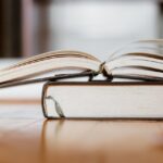 Acclaimed Literary Twins on Their Latest Project, “The Blackbird”