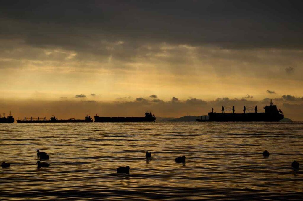 pexels-furkan-coban-418919031-15410156-compressed