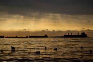 pexels-furkan-coban-418919031-15410156-compressed