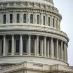 Why Democrats Can Lose the Midterms: How Internal Rifts and Elitism Risk the Coalition